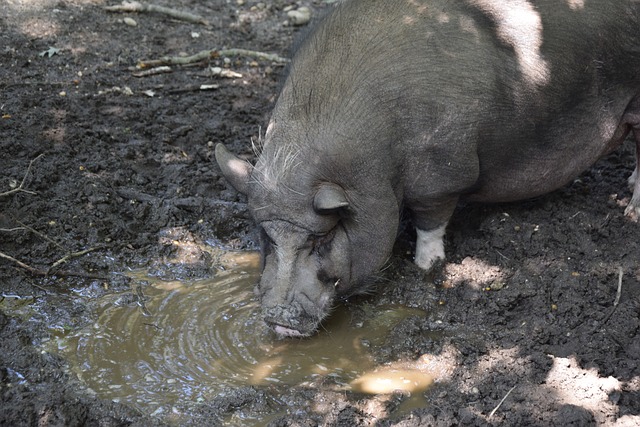数据分析扮 数据分析扮