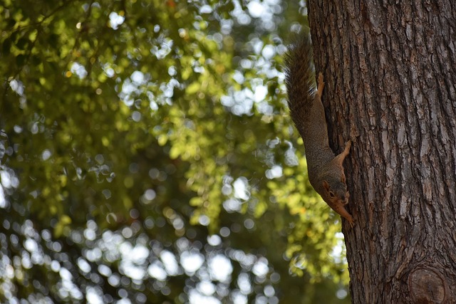 总结来说 总结来说