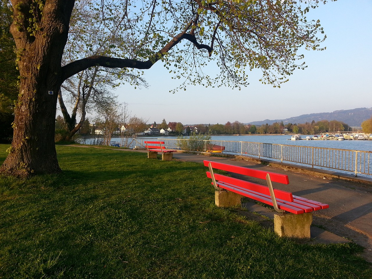 无论是否能 无论是否能