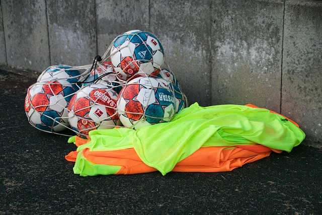 膺這一榮譽 膺這一榮譽