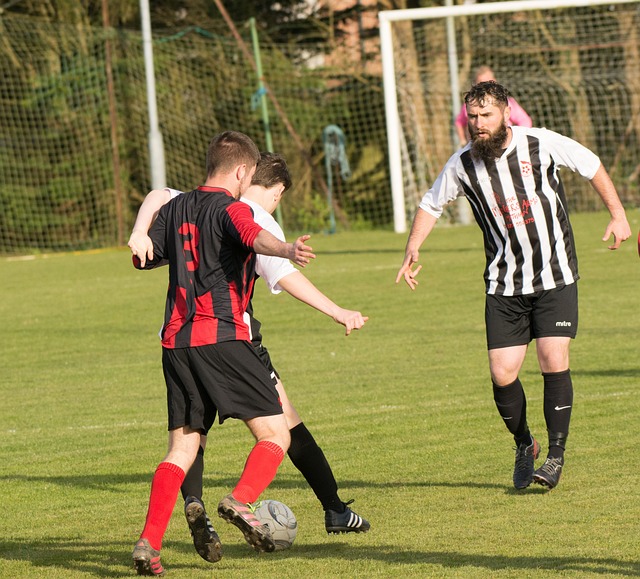 将这一荣耀 将这一荣耀