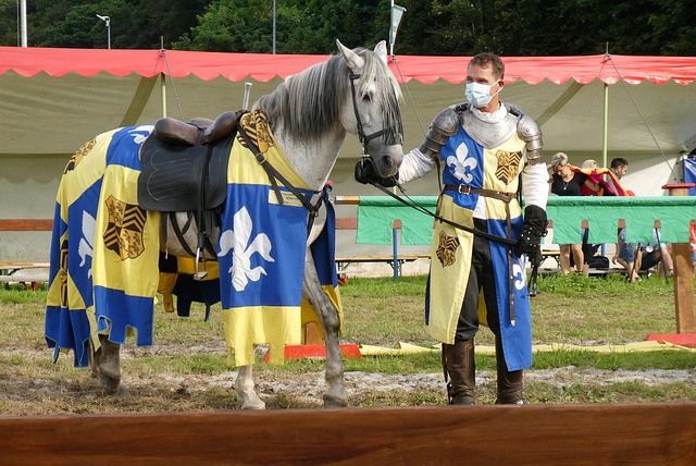 一颗冉冉升 一颗冉冉升