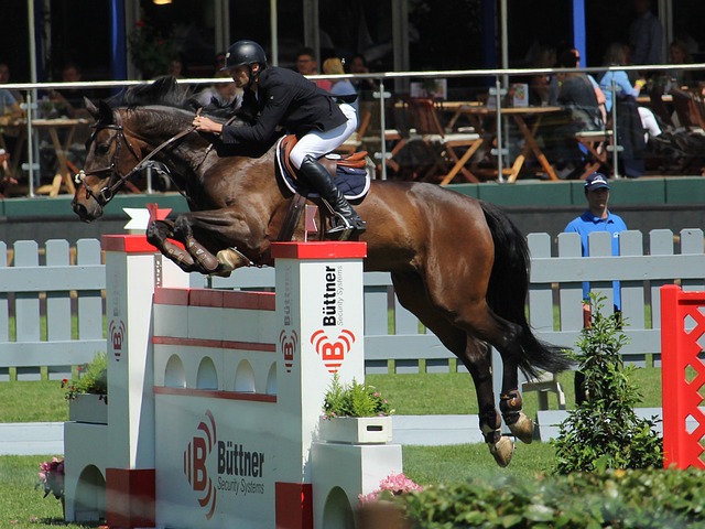 心理压力 心理压力