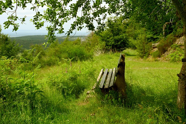 重要保证 重要保证